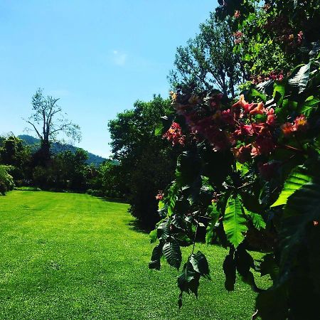 La Valle B&B Brescia Exterior foto